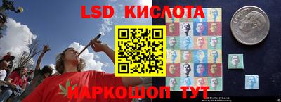 прущие грибы Дубна