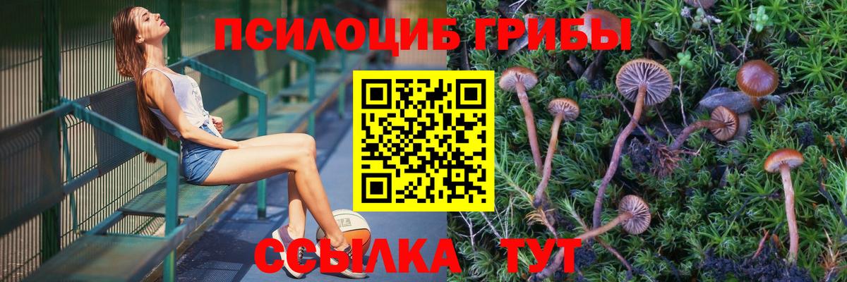 купить наркоту  Псилоцибиновые грибы Psilocybe  Вход с VPN  Муром  Псилоцибиновые грибы MAGIC MUSHROOMS 
